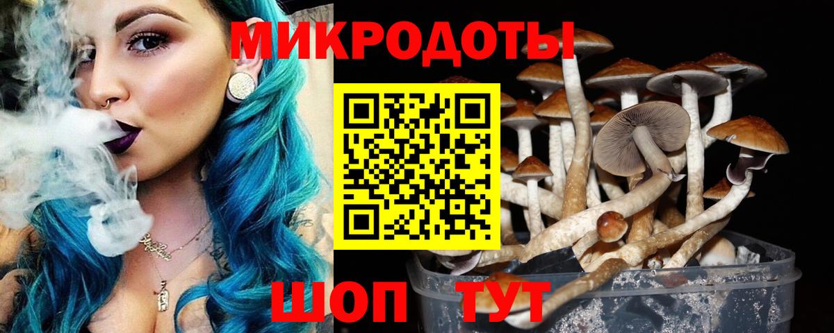 Псилоцибиновые грибы мухоморы  Вход с VPN  Тара 