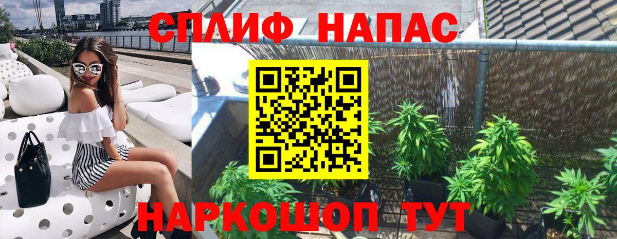 Тара  Каннабис сатива  Шишки марихуана MAZAR  Бошки Шишки индика  Вход с VPN  Марихуана планчик 